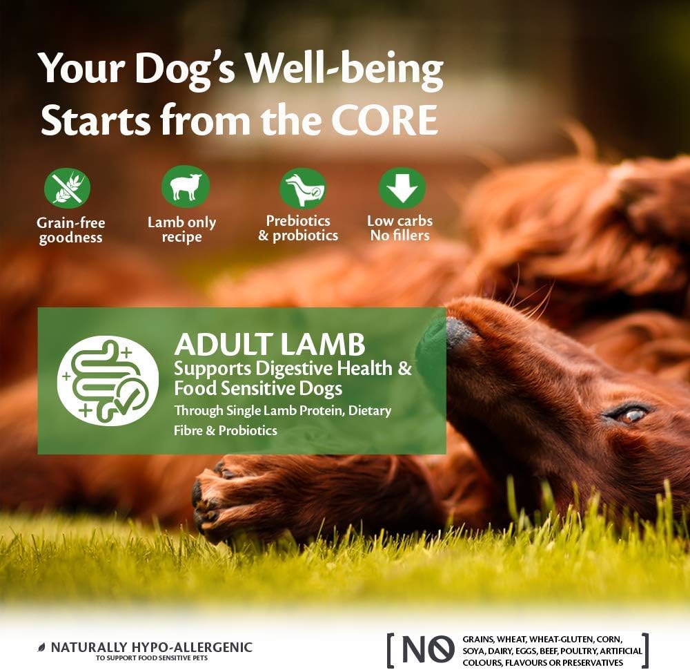 Wellness CORE Adult Lamb, 10kg, Lamb, Dry Dog Food for All Dog Breeds