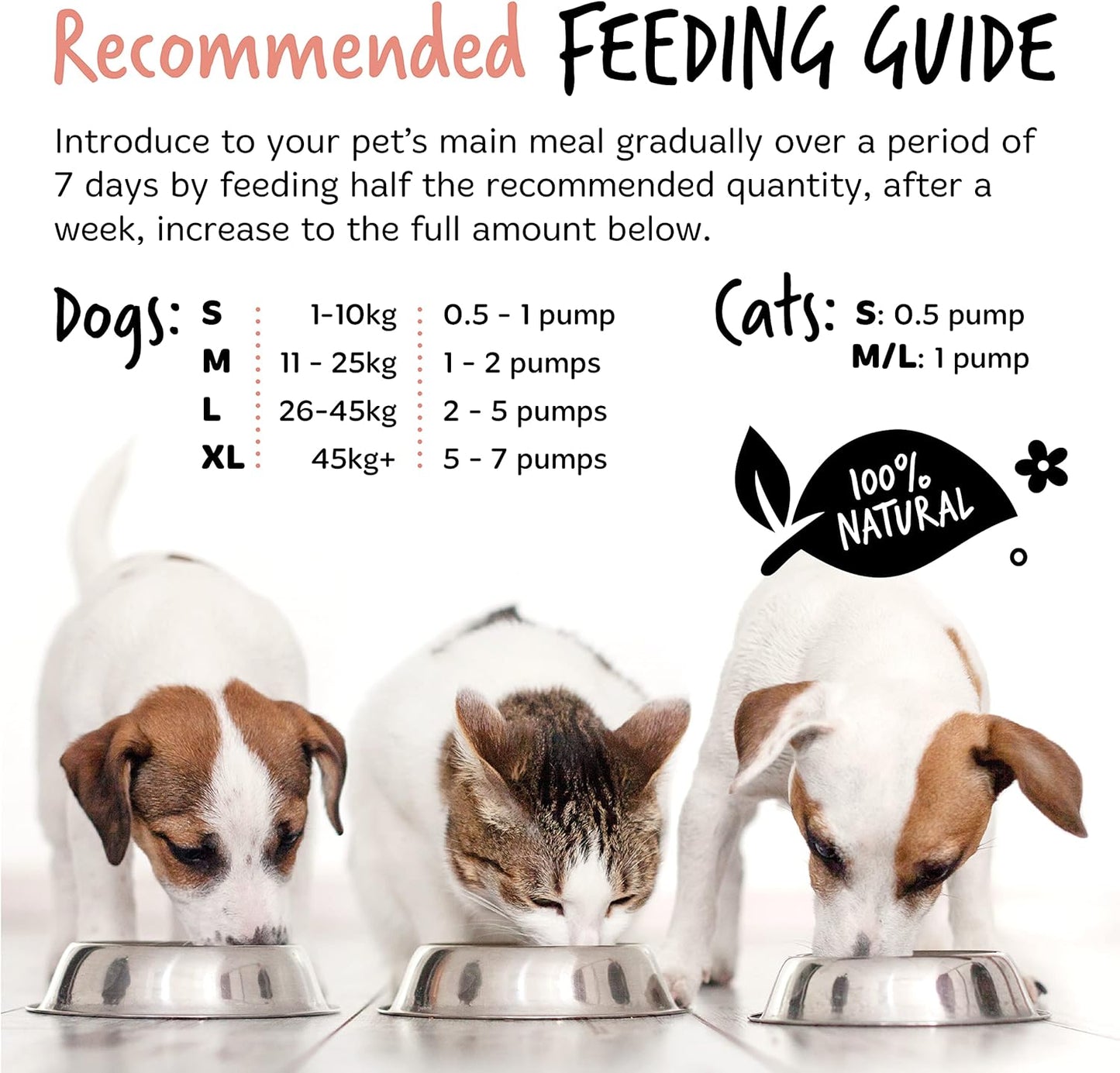 Bugalugs Scottish Salmon Oil For Dogs & Cats